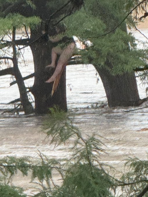 Miraculous Survival: Young Girl Swept 12 Miles in Texas Hill Country Flood Rescued After Hours in Raging Guadalupe River